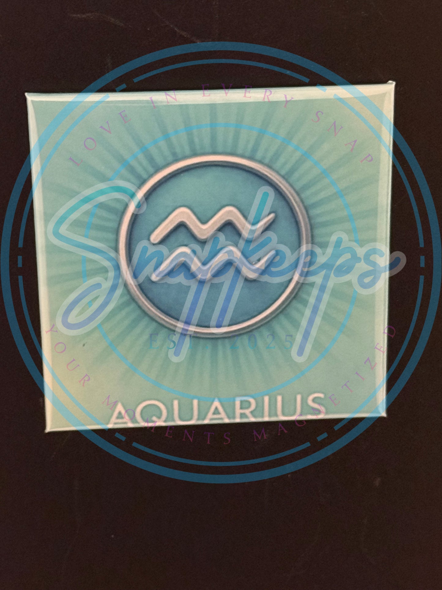 Aquarius Zodiac (1)