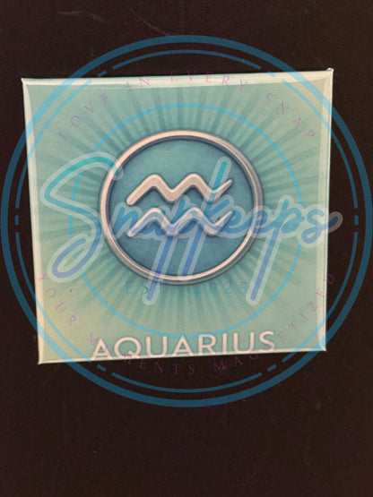 Aquarius Zodiac (1)
