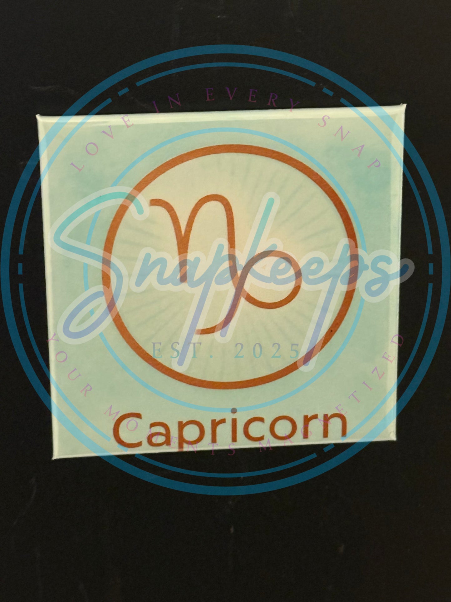 Capricorn Zodiac (1)