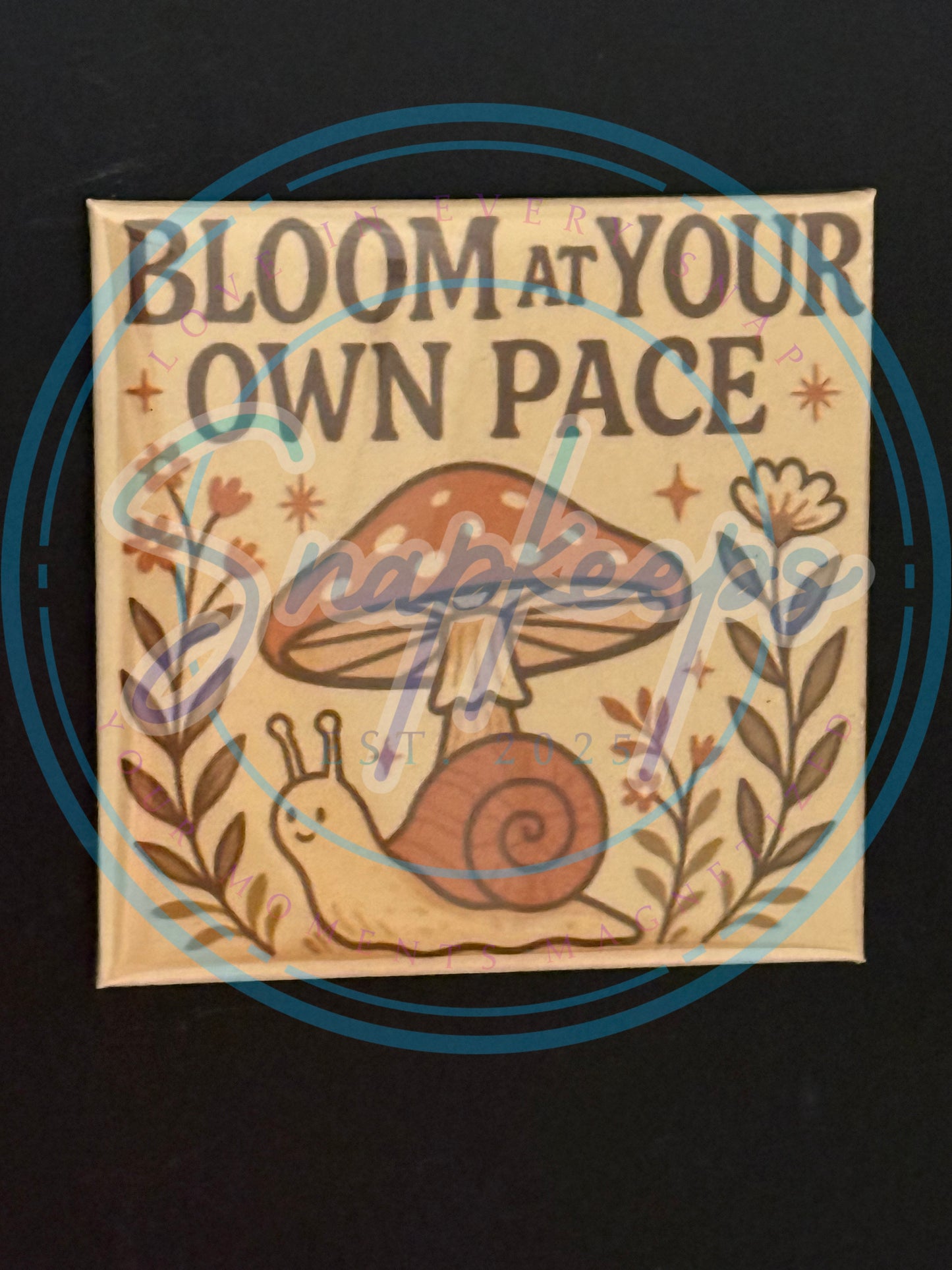 Snailin' it Softly (1)