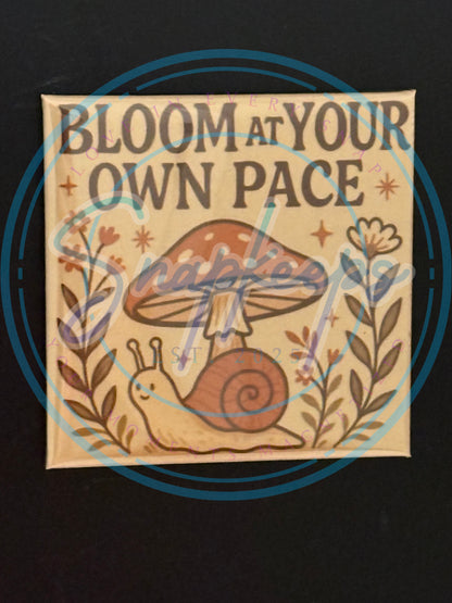 Snailin' it Softly (1)